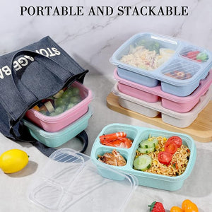 Bento Lunch Box (Set of 20)