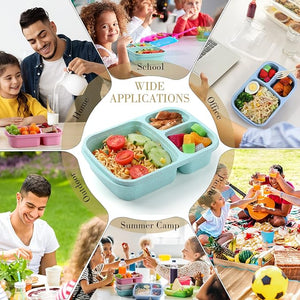 Bento Lunch Box (Set of 20)